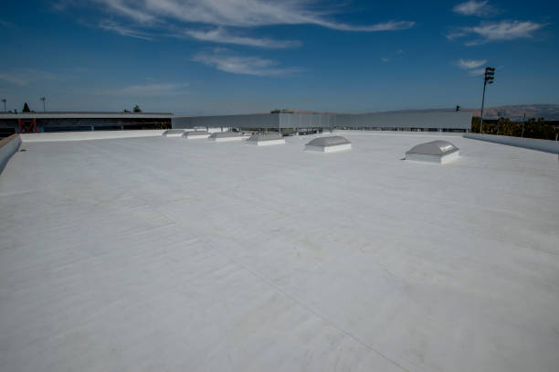 Best Storm Damage Roof Repair  in Holland, OH