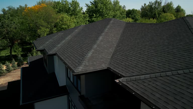 Professional Roofing in Holland, OH