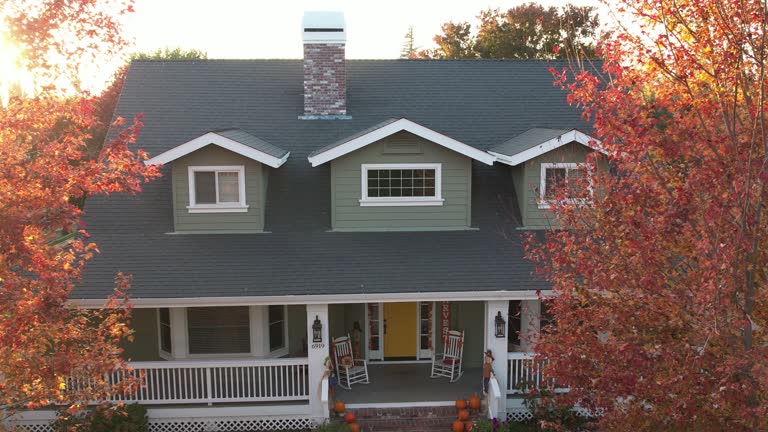 Best Chimney Flashing Repair  in Holland, OH