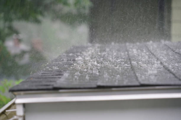 Best Green or Eco-Friendly Roofing Solutions  in Holland, OH