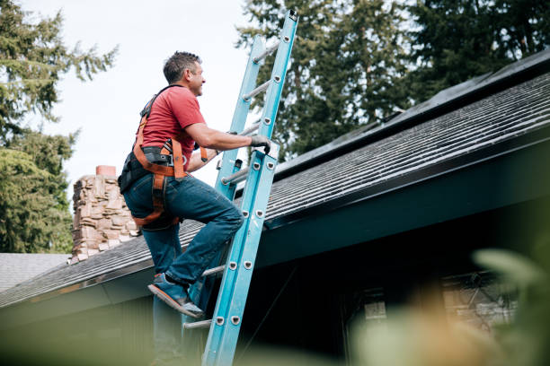 Best Roof Insulation Installation  in Holland, OH
