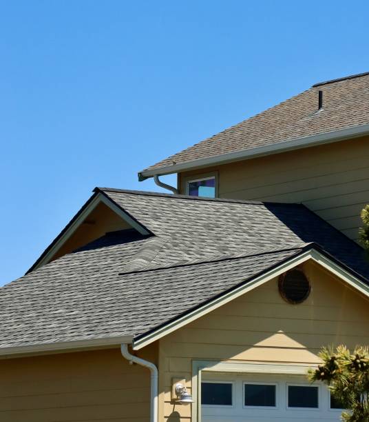 Best Roof Ventilation Installation  in Holland, OH